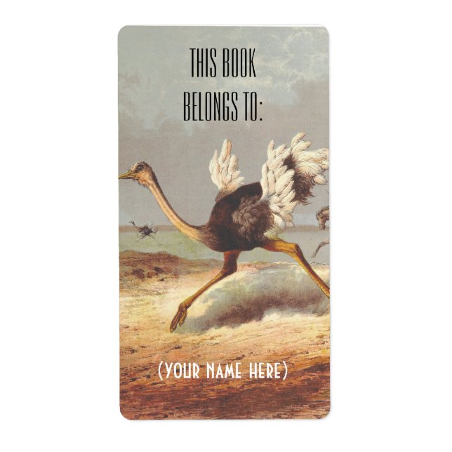 Colourful running ostrich illustration bookplate (Front)