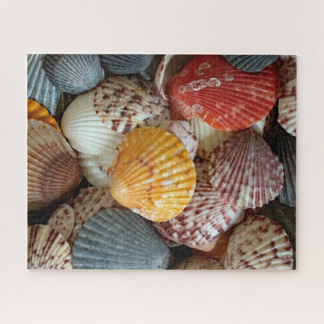 Colourful Scallops Jigsaw Puzzle (Horizontal)