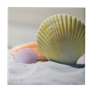 Colourful Seashells in the Sand Tile