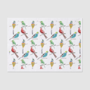 Colourful Set of Hand-Drawn Birds Pattern Tissue Paper