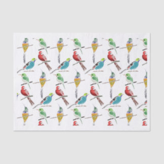 Colourful Set of Hand-Drawn Birds Pattern Tissue Paper