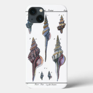 Colourful Seven Seashells iPhone 13 Case