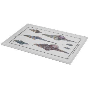 Colourful Seven Seashells Cutting Board