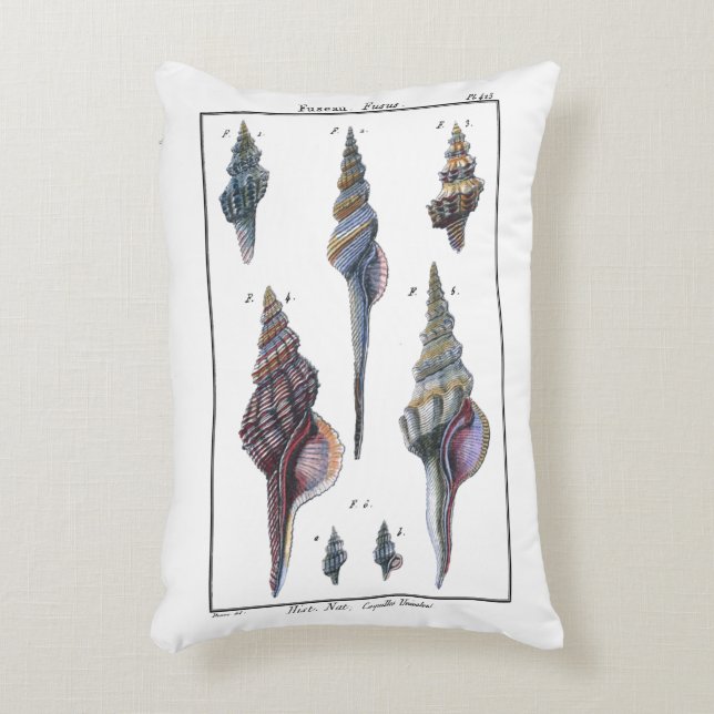 Colourful Seven Seashells Decorative Cushion (Front(Vertical))