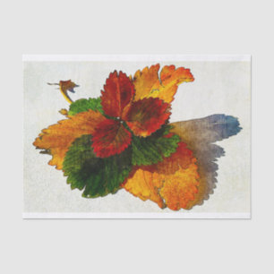 Colourful shades of autumn leaves   tissue paper