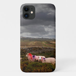 Colourful sheep Case-Mate iPhone case