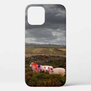 Colourful sheep Case-Mate iPhone case