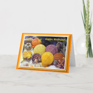 Colourful Shells Birthday Card