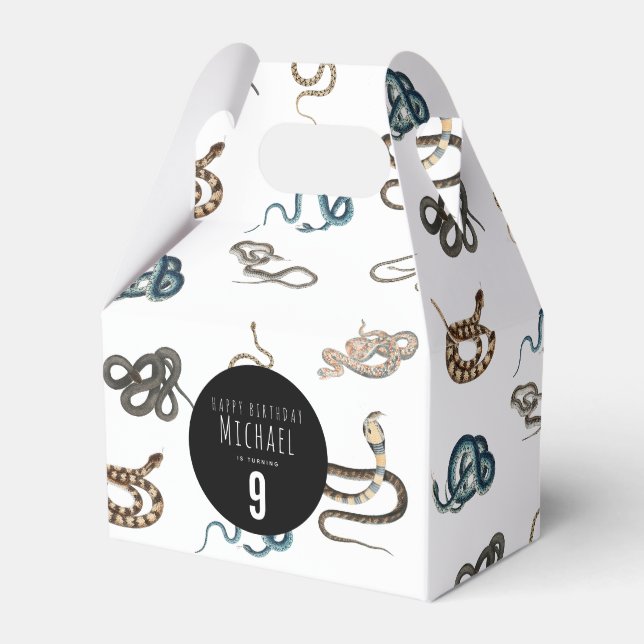 Colourful Snakes Reptile Animal Birthday Party Favour Box (Front Side)