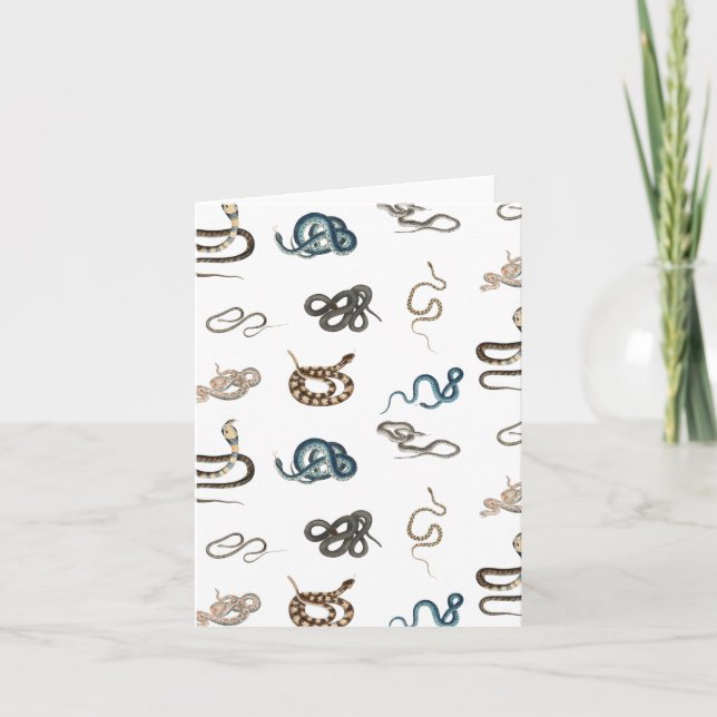 Colourful Snakes Reptile Animal Pattern Card (Front)