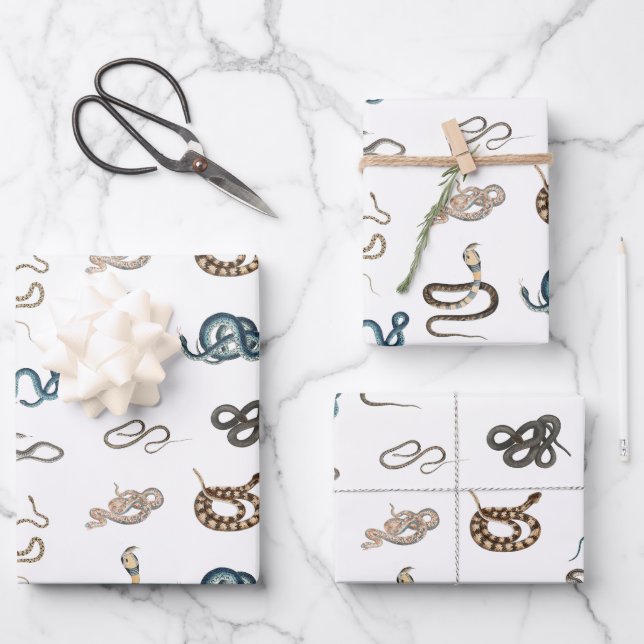 Colourful Snakes Reptile Animal Pattern Wrapping Paper Sheet (Front)