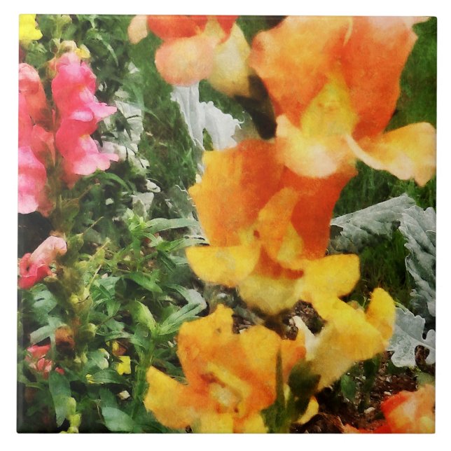 Colourful Snapdragons Tile (Front)