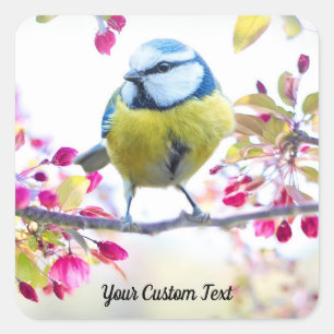 Colourful Songbird & Spring Blossoms, Your Message Square Sticker