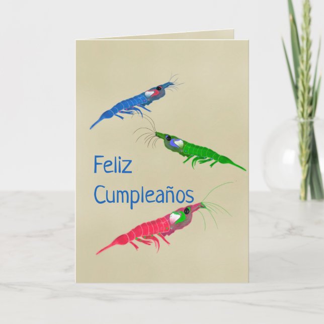 Colourful Spanish Happy Birthday Card (Front)