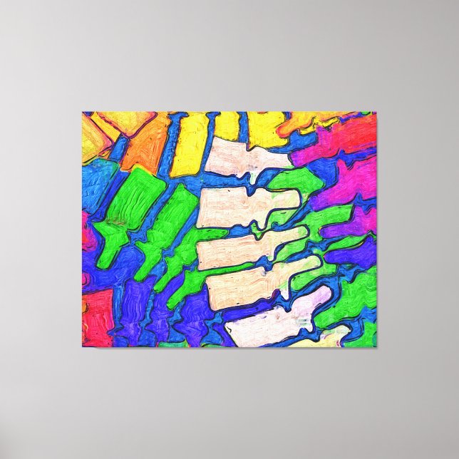 Colourful Spine Art Wrapped Canvas (Front)