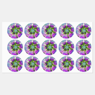 Colourful Spiral Round Shapes Abstract Fractal Art