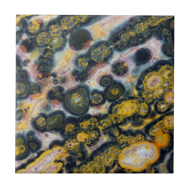 Colourful Spotted Ocean Jasper Tile (Front)