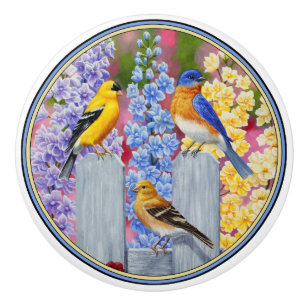 Colourful Spring Birds Garden Party Ceramic Knob