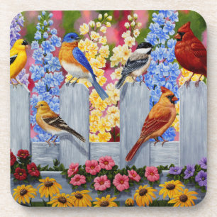 Colourful Spring Birds Garden Party Coaster
