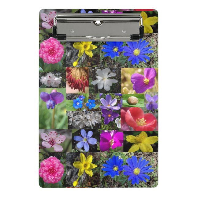 colourful spring - clipboard (Front)