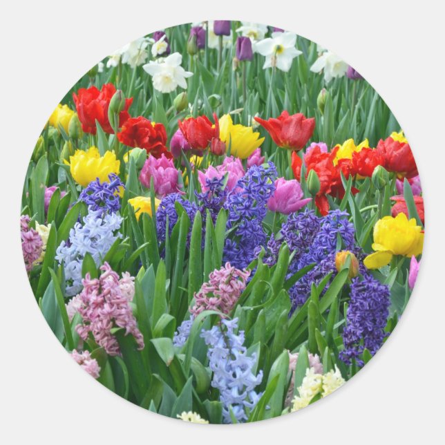 Colourful spring flower garden classic round sticker (Front)