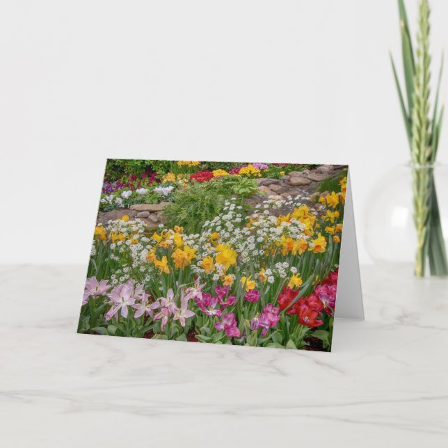 Colourful Spring Flowers in full bloom Card (Front)