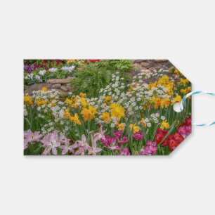 Colourful Spring Flowers in full bloom Gift Tags
