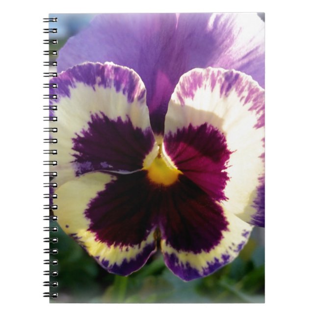 colourful spring Pansy Notebook (Front)