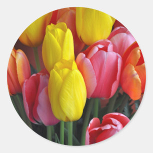 Colourful spring tulips bouquet classic round sticker