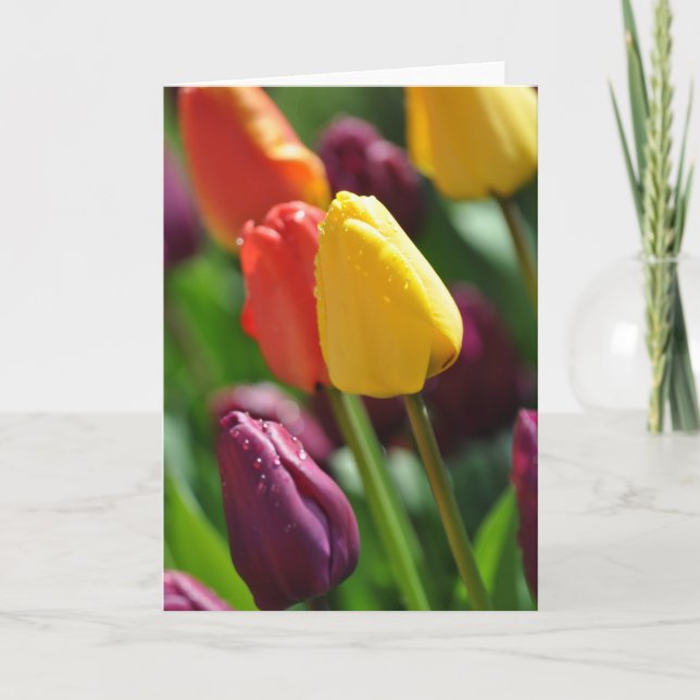 Colourful spring tulips garden greeting card (Front)