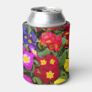 Colourful Springtime Medley of Primulas Can Cooler