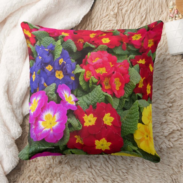 Colourful Springtime Medley of Primulas Cushion (Blanket)
