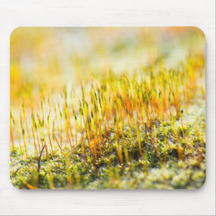 Colourful sprouts mouse pad
