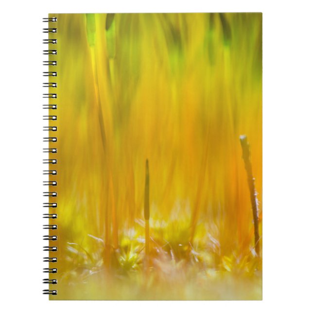 Colourful sprouts spiral notebook (Front)