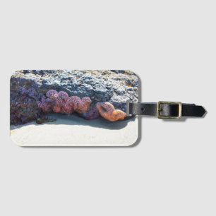 Colourful Starfish at Bob Creek, OR Luggage Tag