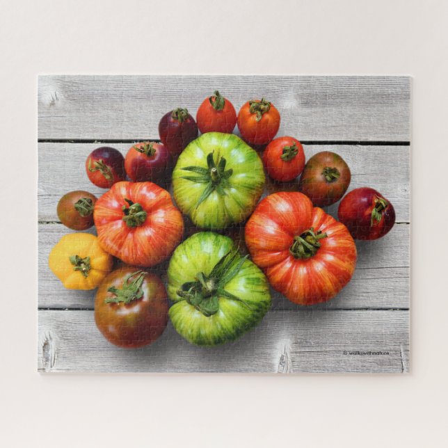 Colourful Striped Tomatoes on Weathered Table Jigsaw Puzzle (Horizontal)