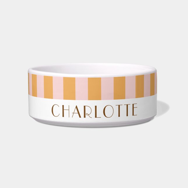 Colourful Stylish Bright Colour Minimalist Stripes Bowl (Front)