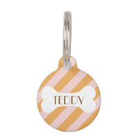 Colourful Stylish Bright Colour Minimalist Stripes