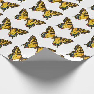 Colourful stylish butterfly wrapping paper