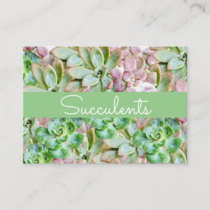 Colourful Succulent Business Card
