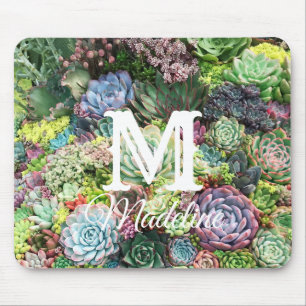 Colourful Succulent Garden Mouse Pad