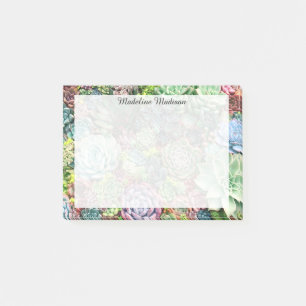 Colourful Succulent Garden Post-it Notes