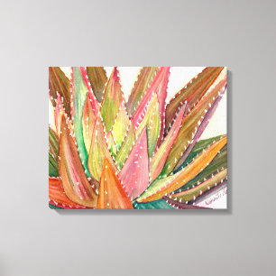 Colourful succulent watercolor by Debra Lee Baldwi Canvas Print