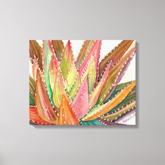 Colourful succulent watercolor by Debra Lee Baldwi Canvas Print (Front)