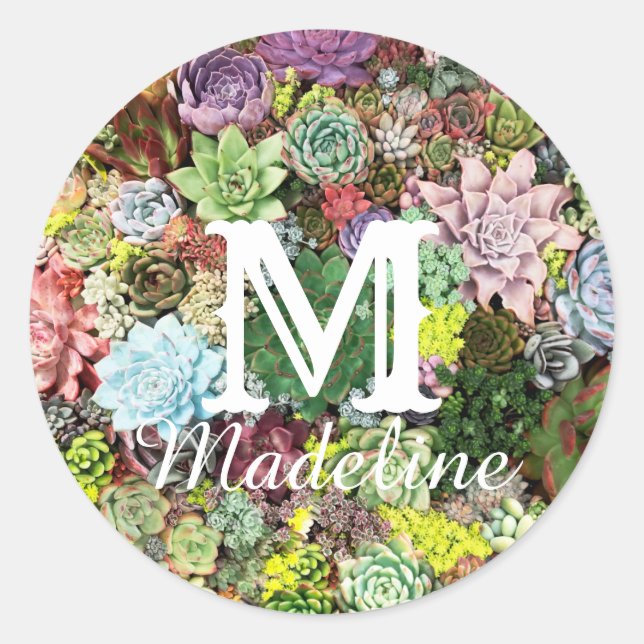 Colourful Succulents Classic Round Sticker (Front)