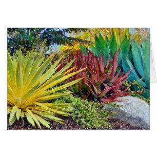 Colourful Succulents greeting card