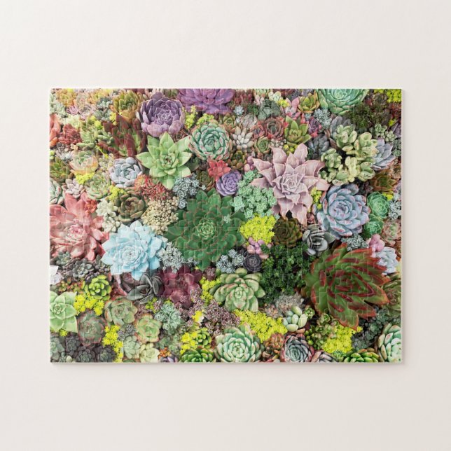 Colourful Succulents Jigsaw Puzzle (Horizontal)