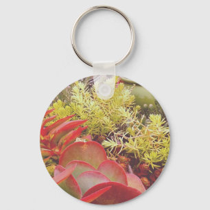 Colourful Succulents Key Ring