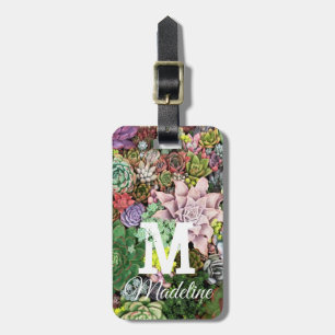 Colourful Succulents Luggage Tag