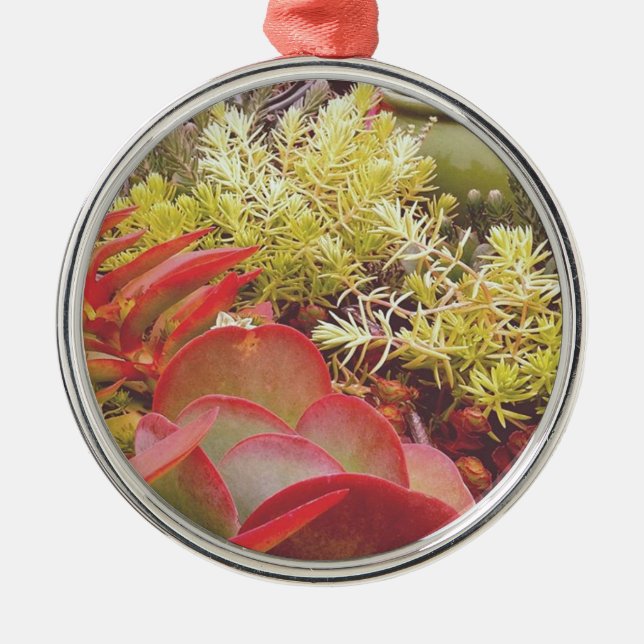 Colourful Succulents Metal Tree Decoration (Front)